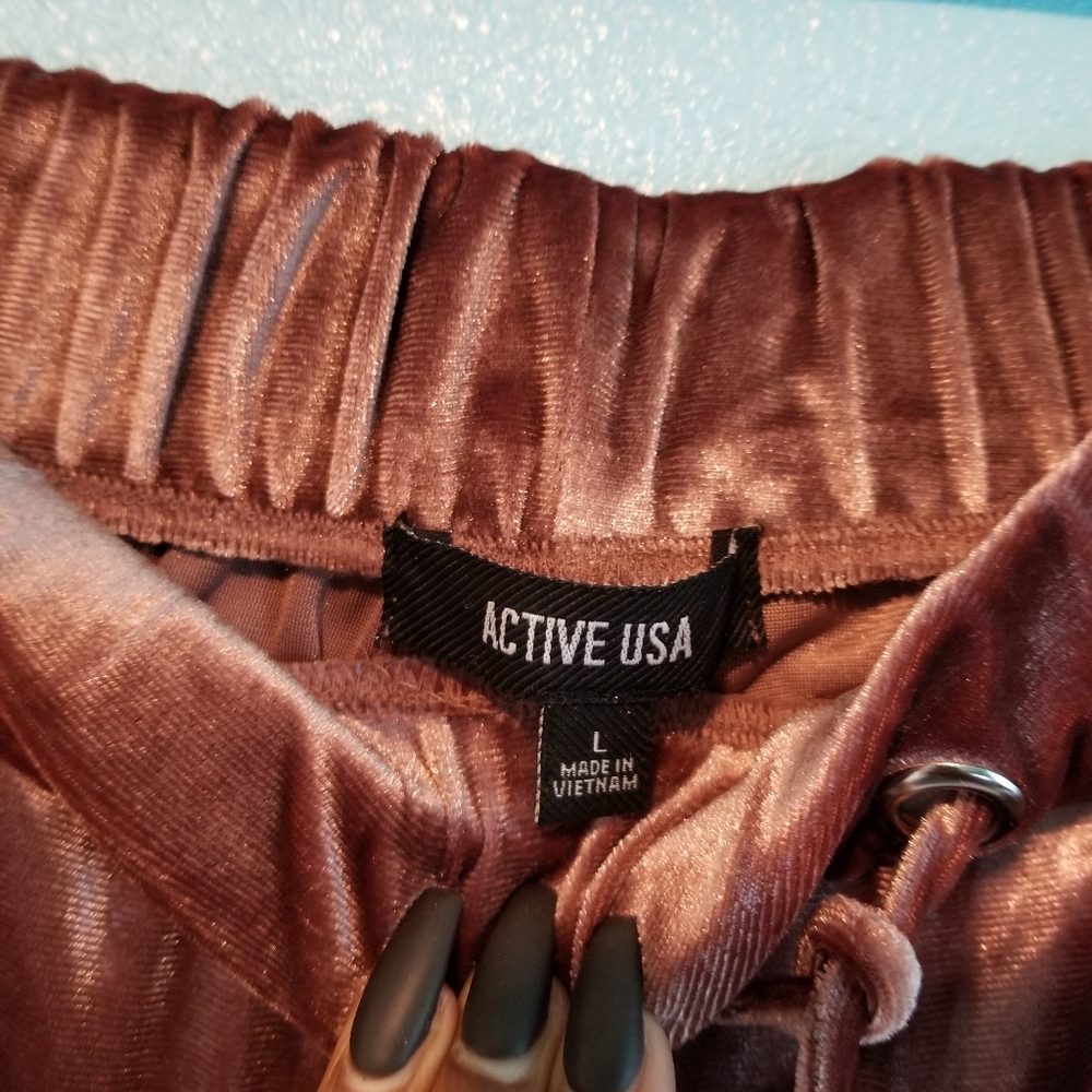 BRAND NEW Velvet pants